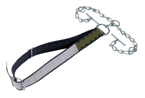 Stieraanlijning - Attaches taureaux - Binding for bulls - Bullenanbindung