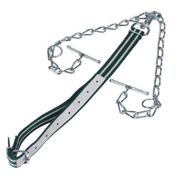 Runderaanlijning - Attaches bovins - Binding for cattles - Rinderanbindung 