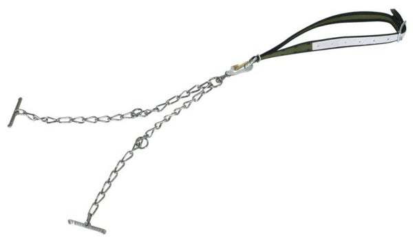 Runderaanlijning - Attaches bovins - Cattle binding - Rinderanbindung