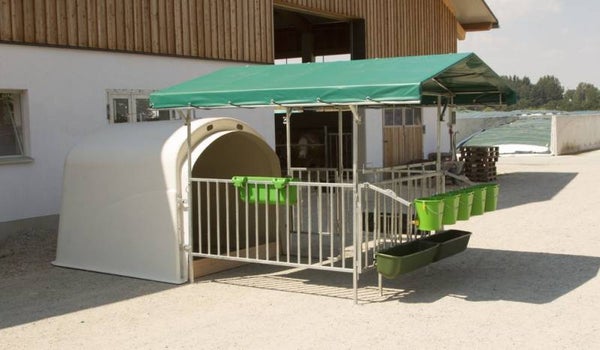 Afdak - Auvent - Projecting roof - Vordach CalfHouse Premium XL