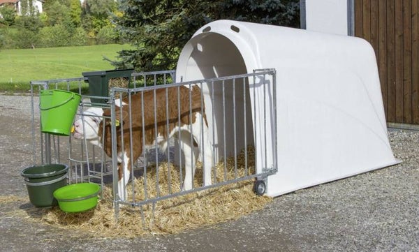 Kalverhut - Niche à veau - Calf house - Kälberhütte CalfHouse Master Plus