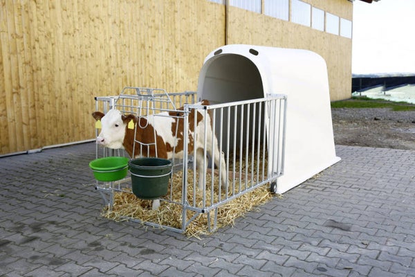 Kalverhut - Niche à veau - Calf house - Kälberhütte CalfHouse Premium Plus