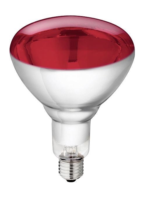 IR lampen van gehard glas - ﻿Lampe IR en verre trempé - IR hard glass lamp - Hartglas - IR lampe Philips