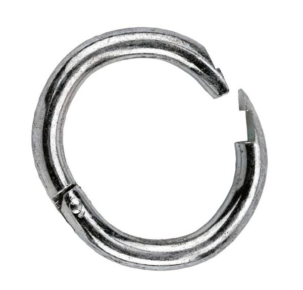 Neusring - Anneaux - Ring - Rüsselring