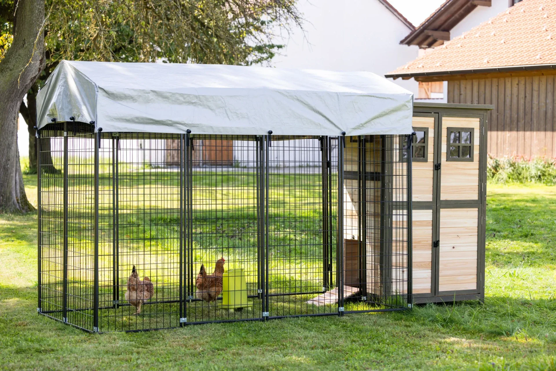 Buitenren - Enclos - Enclosure - Außengehege