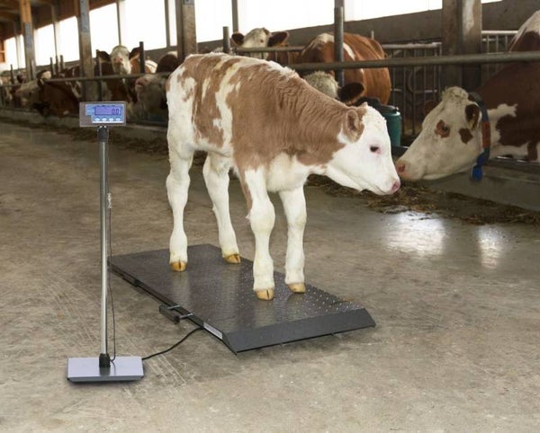 Dierenweegschalen - Balances pour animaux - Animal scale - Tierwaagen PS