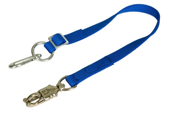 Bevestigingsriem - Sangle d'attache - Tie Strap - Anbindegurt