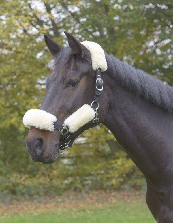 Stoffering voor schapenhalster - Capitonnage pour licol en mouton - Lambswool Set for Bridle - Lammfell-Set für Halfter