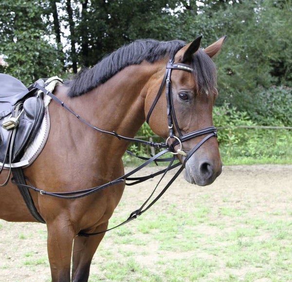Teugels in de vorm van een driehoek - Rênes en forme de triangle - Running Side Reins - Running Side Reins