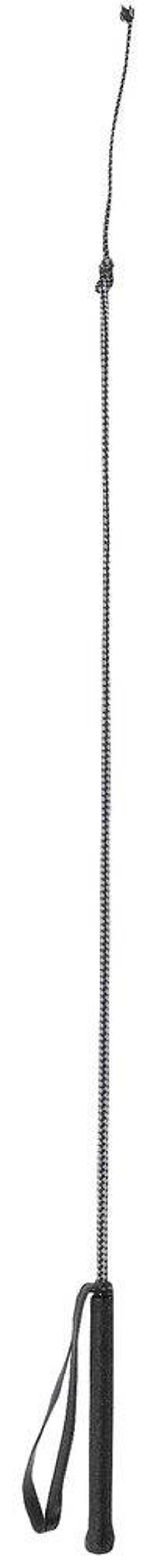 Zweep paardrijden - Cravache d'équitation - Crop Whip - Reitgerte