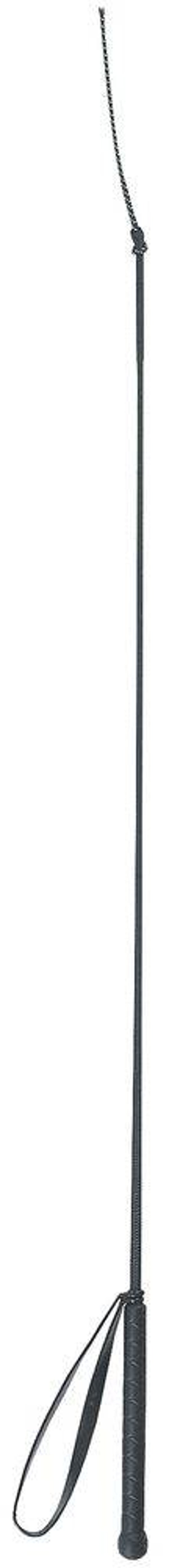 Dressuurzweep - Cravache de dressage - Dressage whip - Dressurgerte