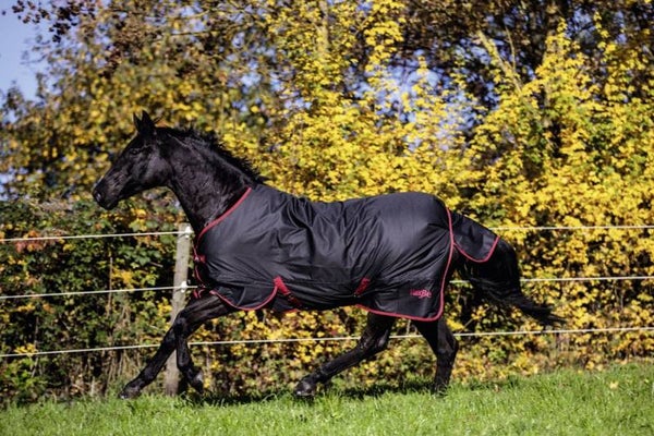 Buitenhoes - Couverture d'extérieur - Outdoor horse blanket - Pferdedecke für das ganze JahrRugBe Zero.1