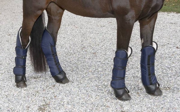 Transportkappen - Guêtres de transport - Transport Gaiters - Transportgamaschen Dexter