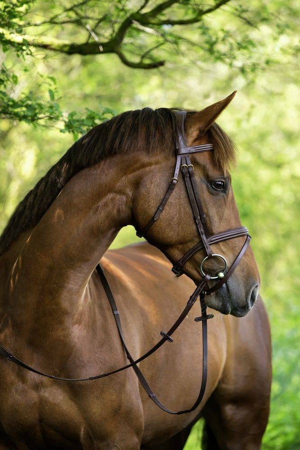 Trens - Bridon - Bridle - Trensenzaum Classic
