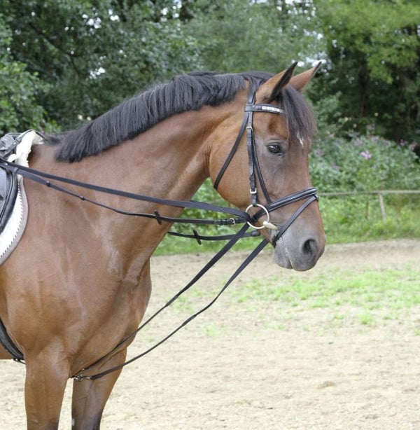 Duitse teugels - Rênes allemandes - Web Draw Reins - Gurt-Schlaufzügel