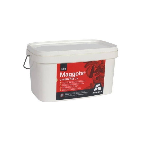 Maggots