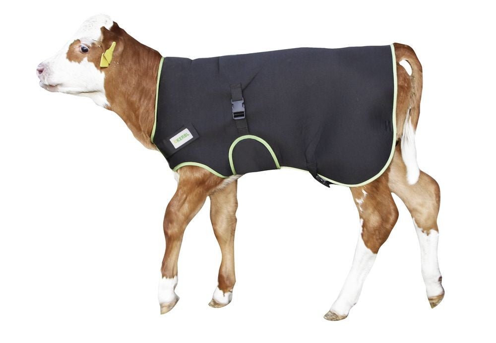 Kalverdeken - Couverture pour veaux - Calf blanket - Kälberdecke Premium 70cm