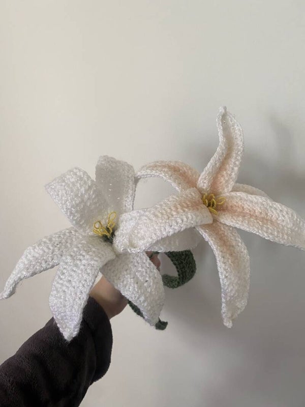Lys