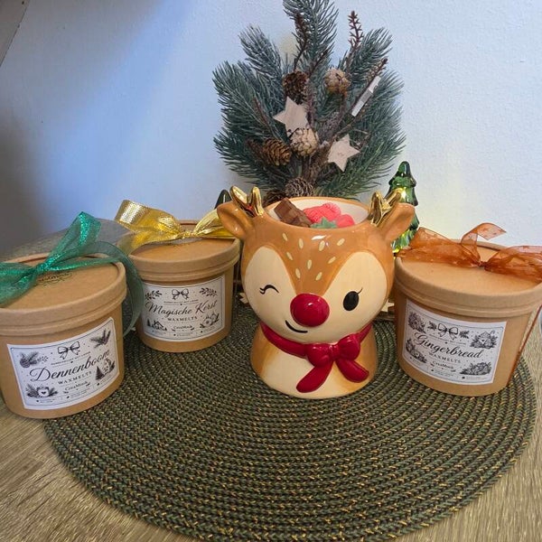Combiset 12 Magische Kerst
