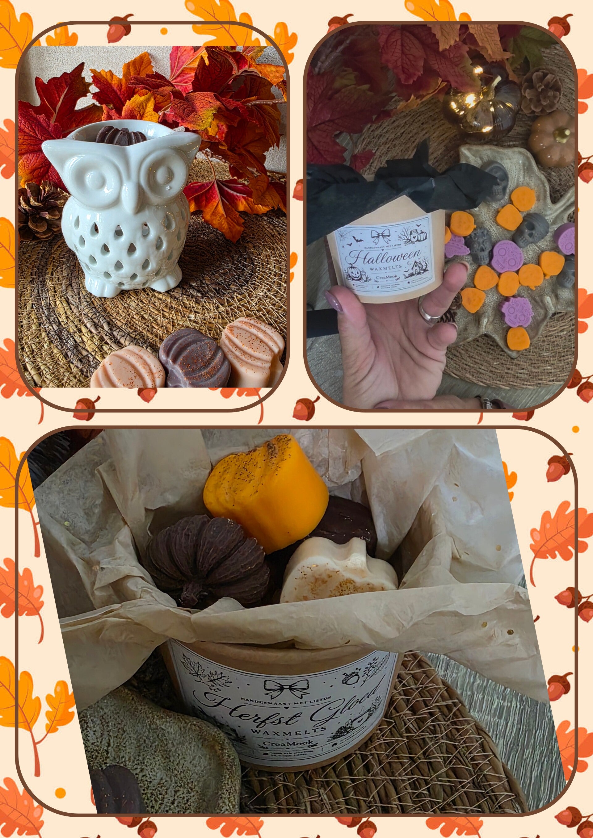 Combi set 5. Waxmeltbrander Uil met waxmelts box