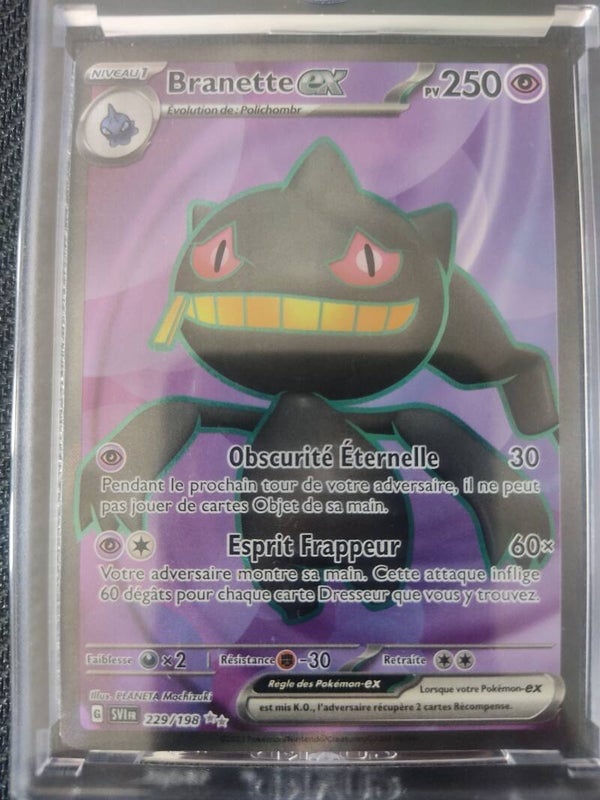 CARTE POKÉMON Branette EX