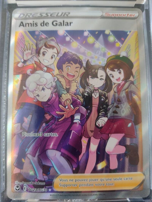 CARTE POKEMON Amis de Galar