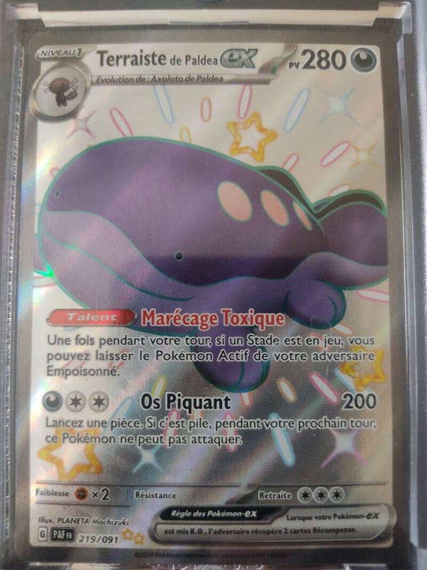 CARTE POKEMON Terraiste de Paldéa EX