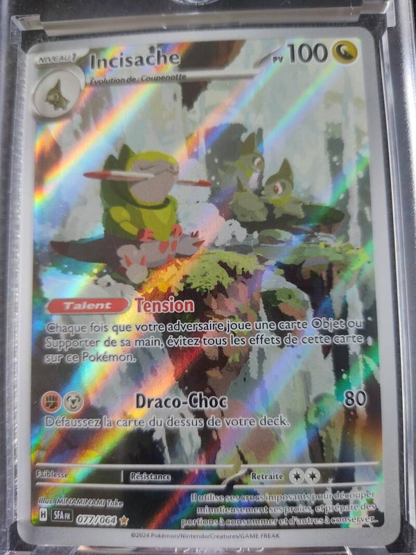 CARTE POKÉMON Incisache