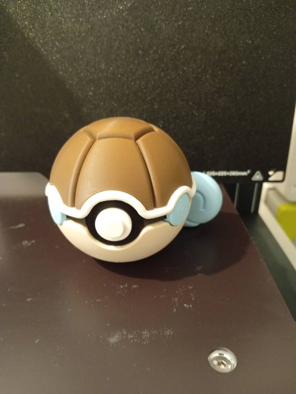 Pokéball carapuce