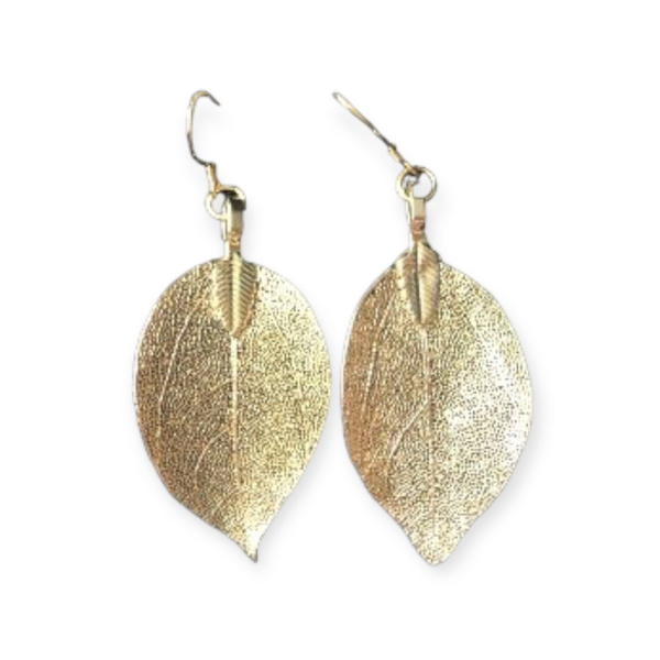 🌿 Oorbellen Eucalyptus Blad – Goud