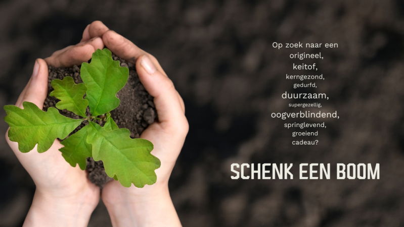schenk een boom als cadeau