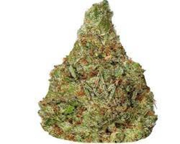 Cherry Latto -SATIVA-