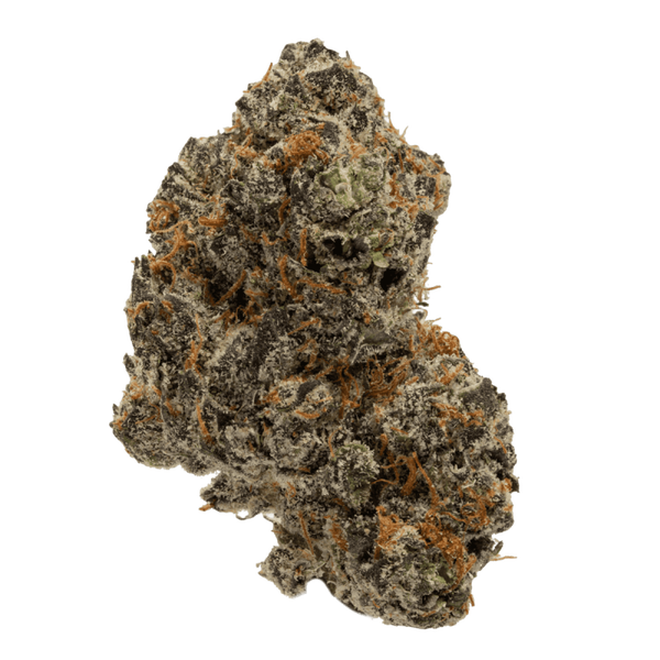 Sundae Driver - HYBRID -