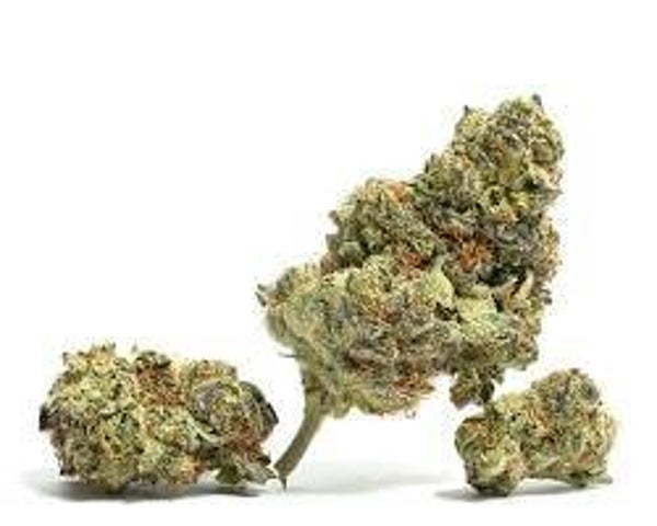 Fire 0.G -INDICA-