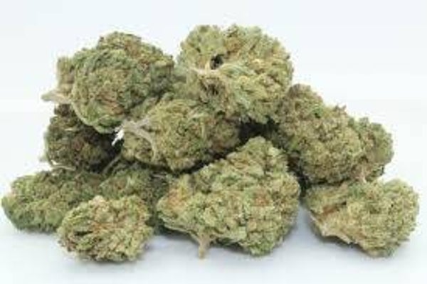 Blue Nerds -SMALLZ-  (HYBRID )