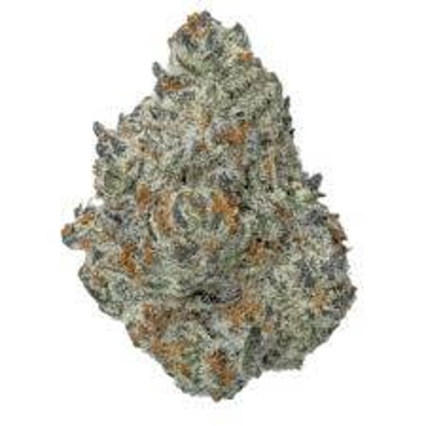 ICE CREAM CAKE INDICA