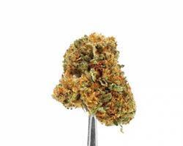 Lemon Candy -SATIVA-