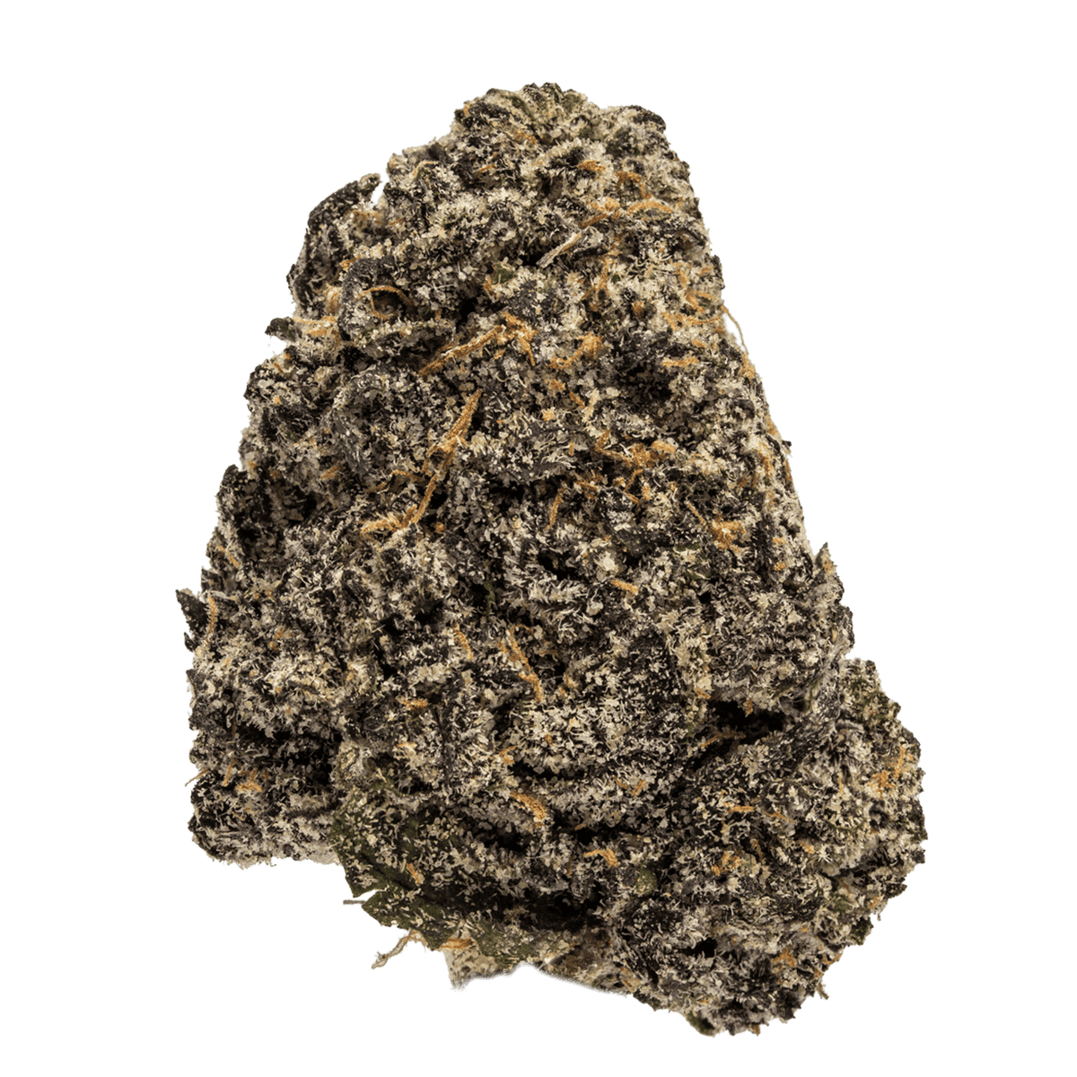 Biscotti Cookies -INDICA-