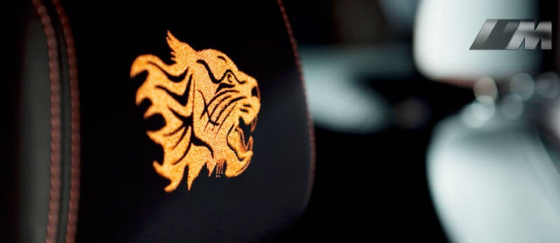 BMW M3 Tiger Edition China