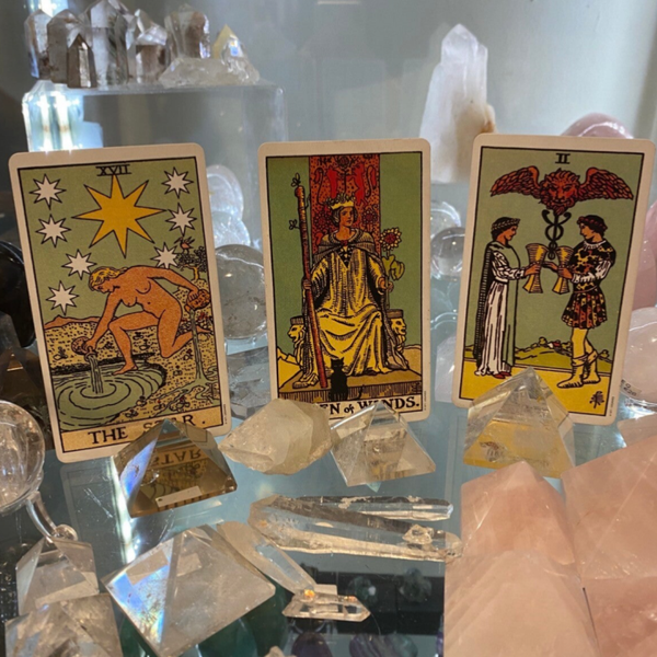 6 Page Written Tarot Reading 🌿