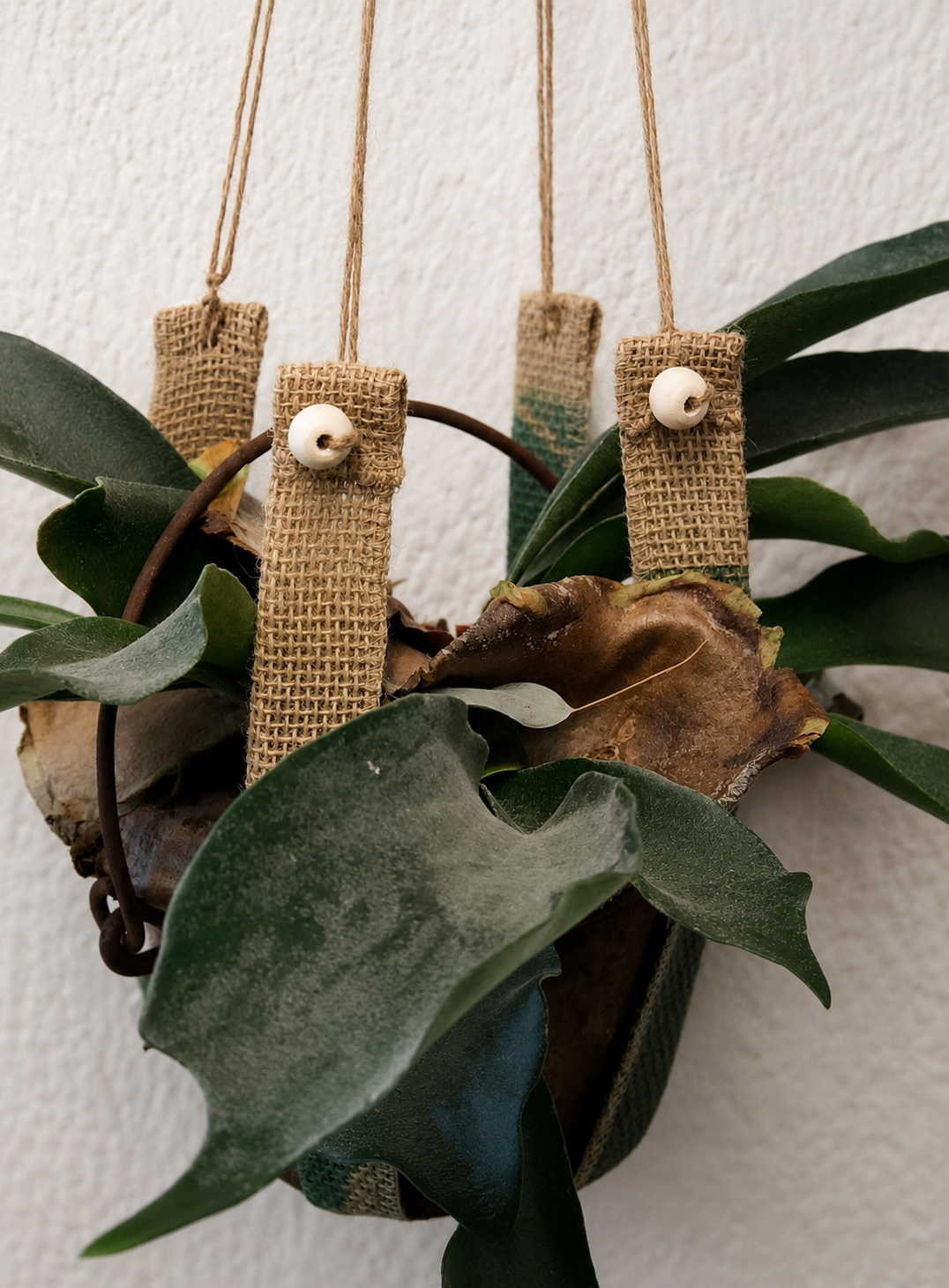plantenhanger small