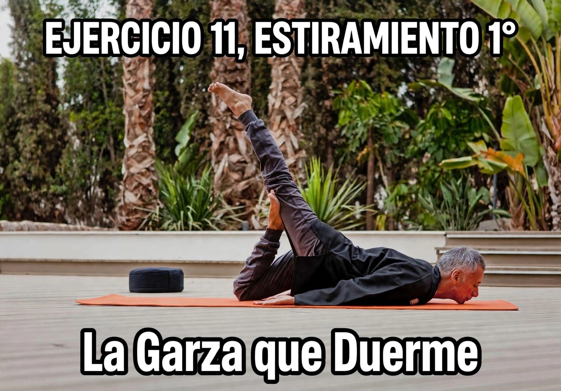 YOGA (MES)