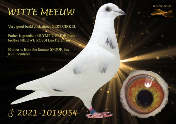 21-054 VERKOCHT Mooie doffer met in de lijnen "Nieuwe Rossi" en "Eenoogske"