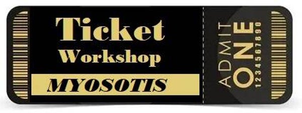 Workshop Myosotis