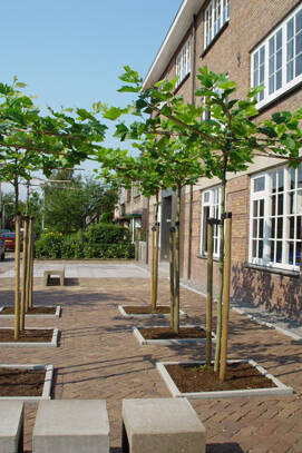 kantoor pand de globe studiozo