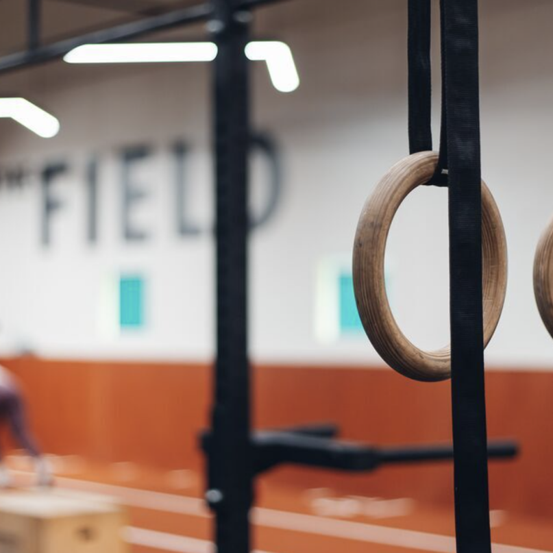 club pelikaan amersfoort studiozo