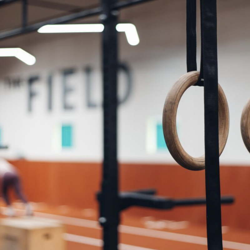 club pellikaan amersfoort studiozo