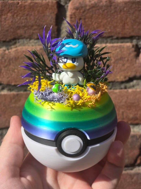 Diorama bal medium - Quaxly