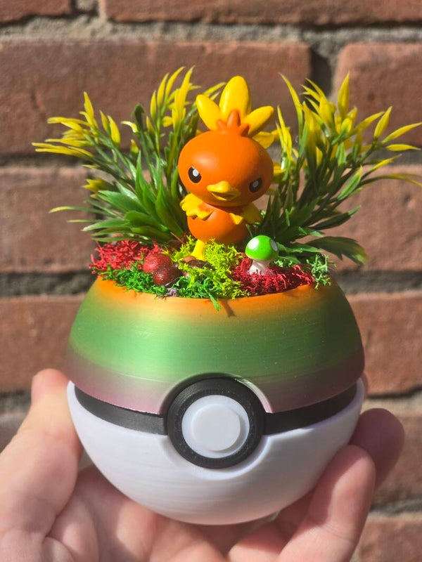 Diorama bal medium - Torchic