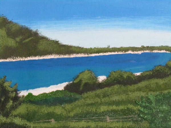 Blue Beyond the Bush